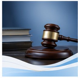 Justice and Human Rights committee theme